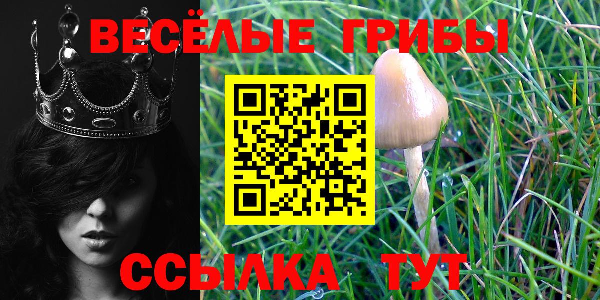 Галлюциногенные грибы GOLDEN TEACHER Ачинск