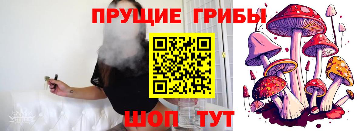 Галлюциногенные грибы мухоморы  Псилоцибиновые грибы GOLDEN TEACHER  где можно купить   Ачинск  Вход с VPN 